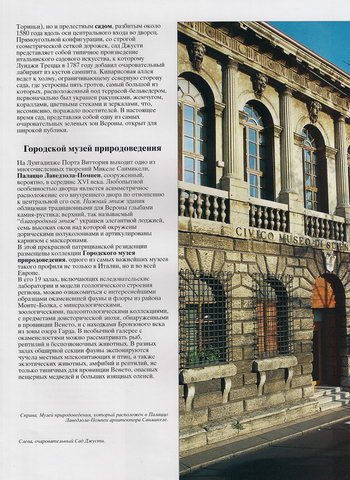 Городской музей природоведения в Палаццо Лаведзола-Помпеи Городской музей природоведения в Палаццо Лаведзола-Помпеи