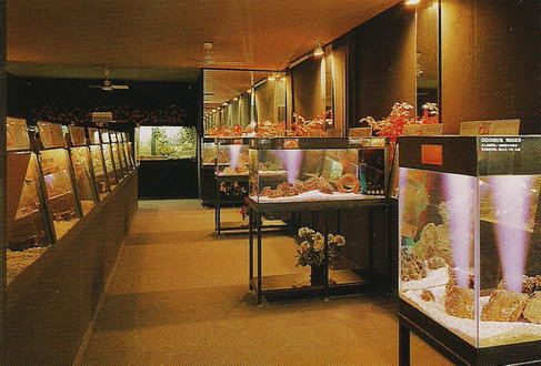 Один из залов выставки Рептилиума-Аквариума в Сан-Марино