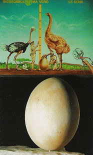 Доисторическое яйцо в Музее курьезов в Сан-Марино
