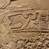 Древнеегипетский сокол
