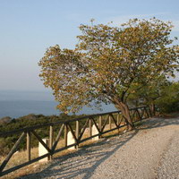 Видовая терраса в парке Дилек близ Кушадасы