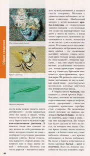 География и фауна Черного моря