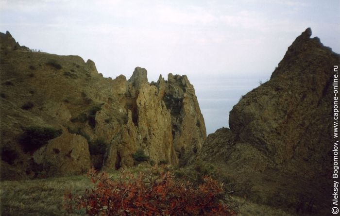 Карадаг. Панорама Карадаг. Панорама