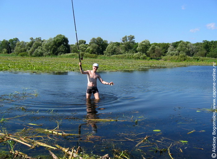 рыбалка на реке вязовка липецкая область