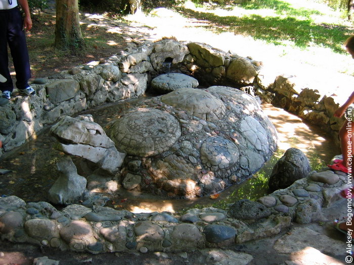 Черепаха в саду камней
