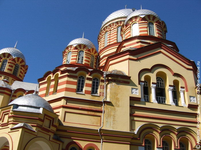 Монастырь - купола основного здания Монастырь - купола основного здания