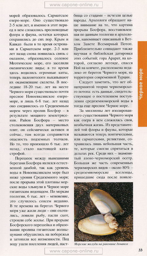 География и фауна Черного моря География и фауна Черного моря