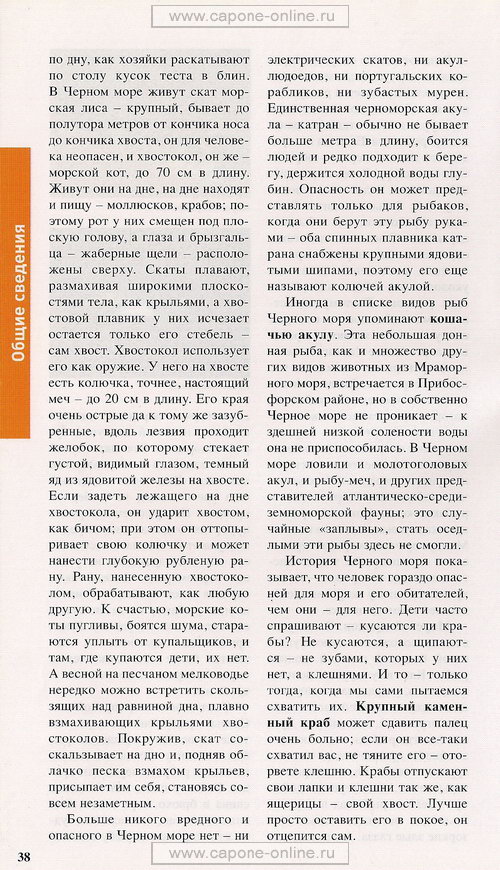 География и фауна Черного моря География и фауна Черного моря