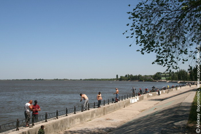 Рыбалка в Астрахани Рыбалка в Астрахани